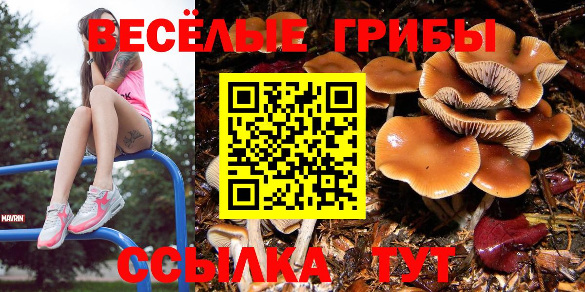 Гусь-Хрустальный  Псилоцибиновые грибы MAGIC MUSHROOMS  Вход с VPN 