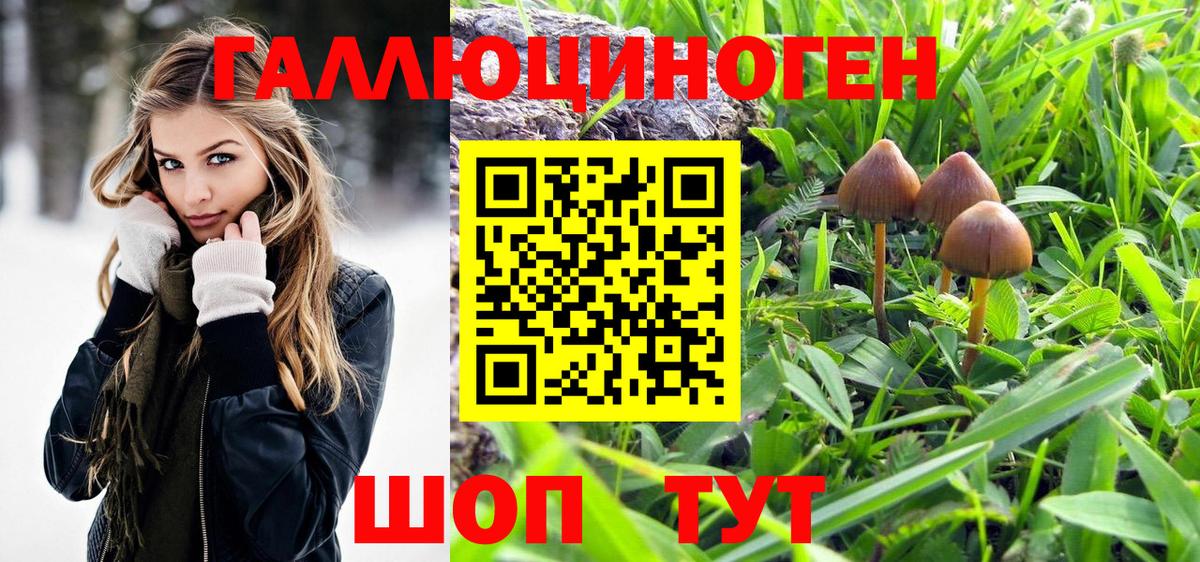 Галлюциногенные грибы мицелий Гусь-Хрустальный